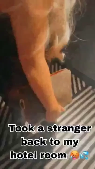Brand new night out with the girls turned into bringing a stranger 