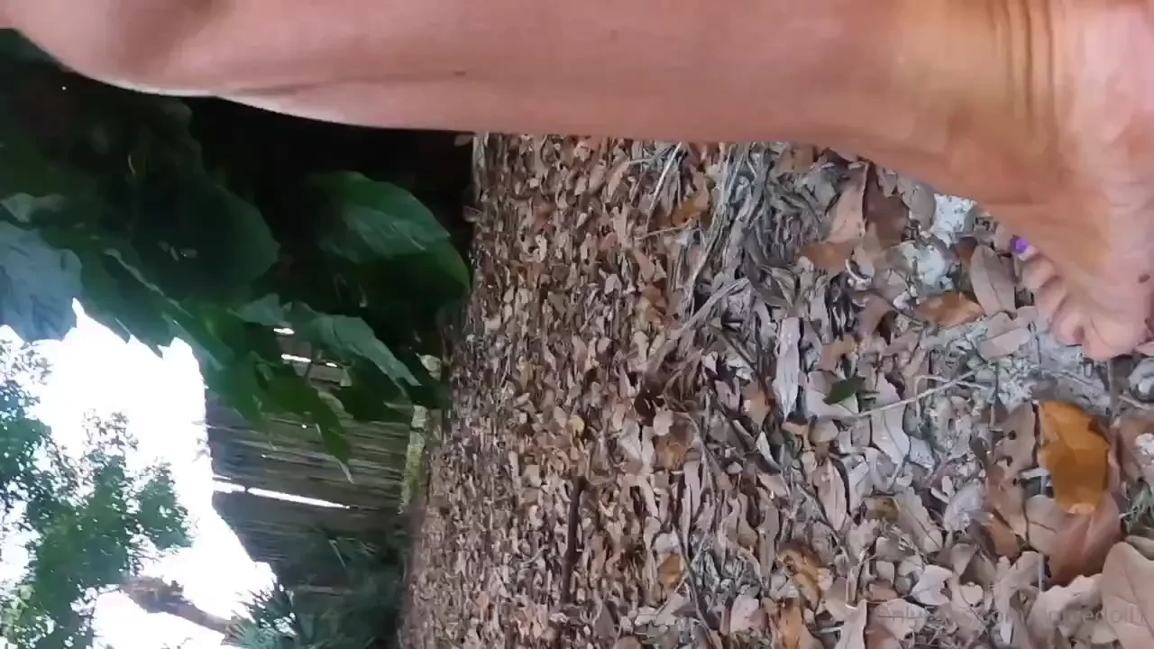 In the wild some creatures evolve by not blending in with the 