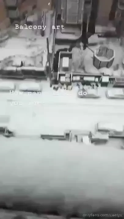 How many snow dicks do you see 