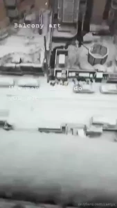 How many snow dicks do you see