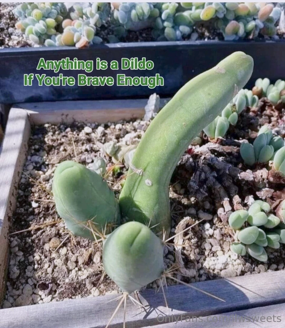 A few memes i made part 1 