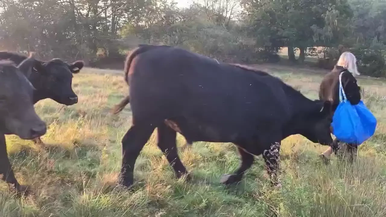 I was taking some naked pics this morning and nearly got trampled on 