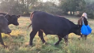 I was taking some naked pics this morning and nearly got trampled on