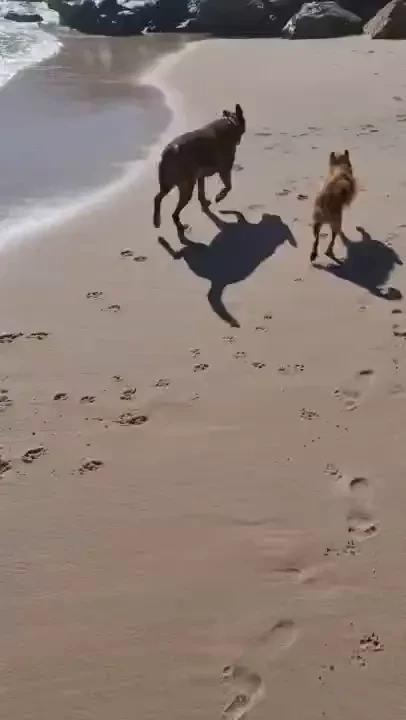 Enjoying the great weather with my best friends 