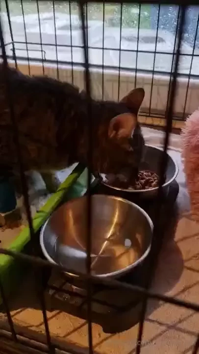 She s home she s feeling better eating well and getting lots of rest i part 1 