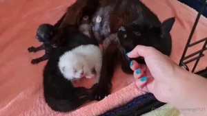 Just wanted to show you the momma i rescued a few weeks ago she had
