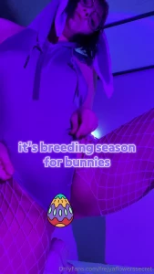 Sexy neon bunny clips and shorts