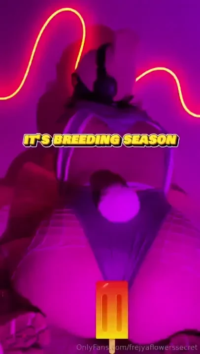 In honor of the upcoming breeding season watch this lil bunny ride her 