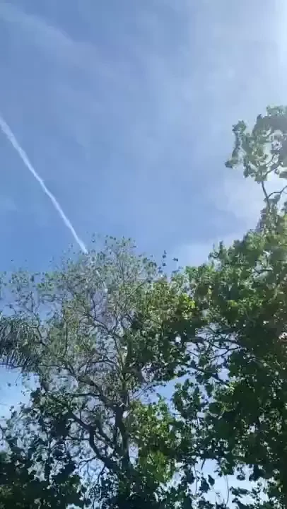 Bubblespopbaby1 part 3713208 