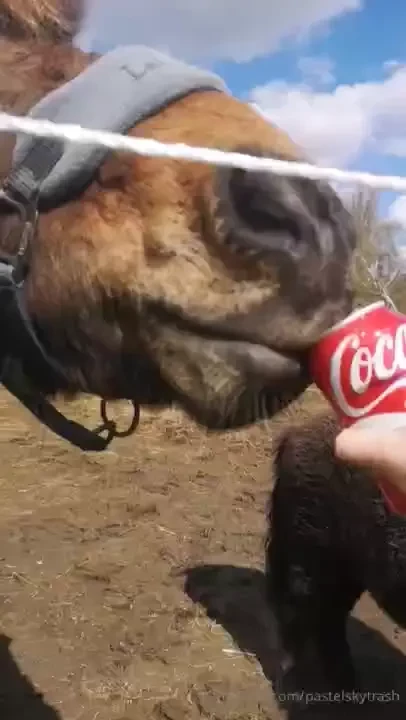 Sharing is caring part 9 