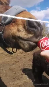 Sharing is caring part 9