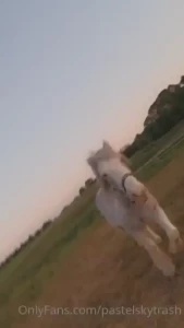 To all those that care about bill my horsey he s finally feeling