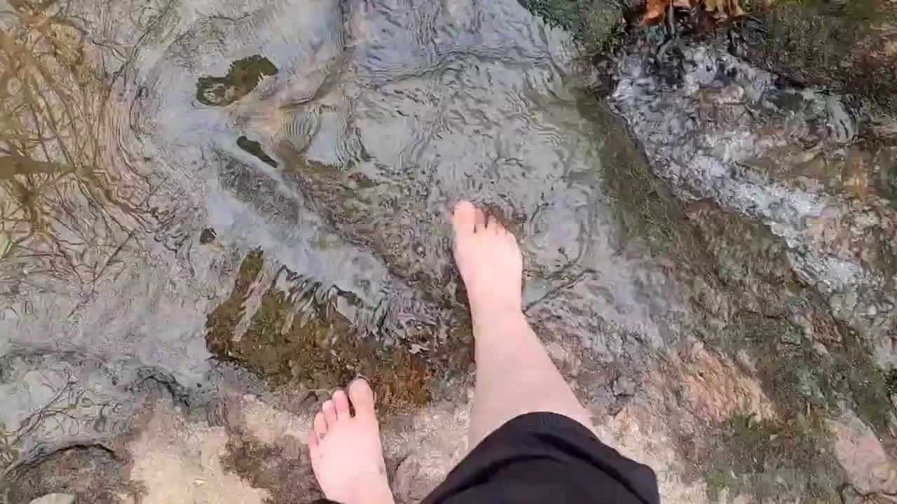 Blissfulflower1 part 2 