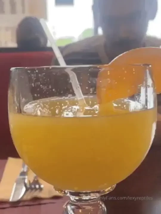 Lexyreptiles1 part 355 