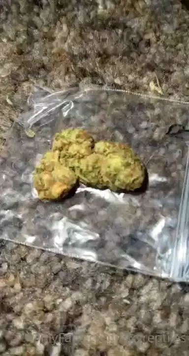 Lexyreptiles1 part 453 