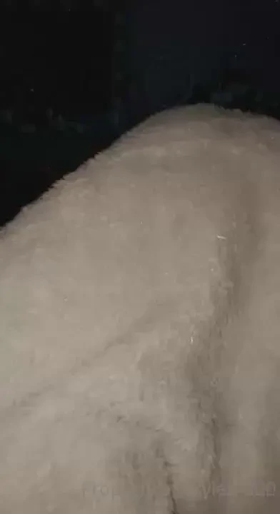 Omg part 15 