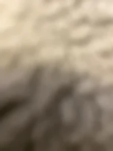 Stream started at 10 22 2021 08 02 pm just testing the line stream