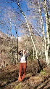 A crisp sunny day in the woods