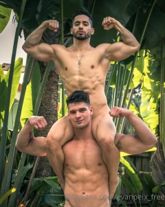 Malik amp evan dual pack 2 scenes
