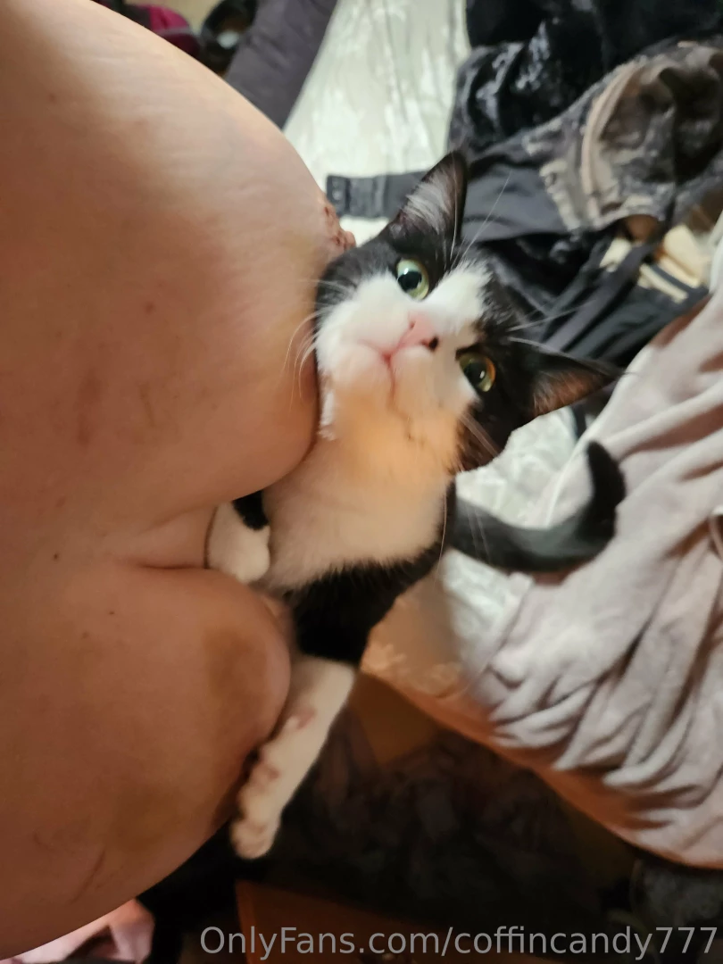 Pussy likes titties too part 3 