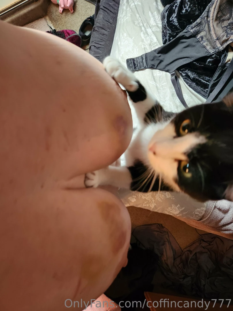 Pussy likes titties too part 1 