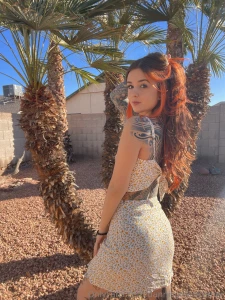 Arizona is a delightful tapestry of biodiversity from the iconic part 2