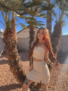 Arizona is a delightful tapestry of biodiversity from the iconic part 1