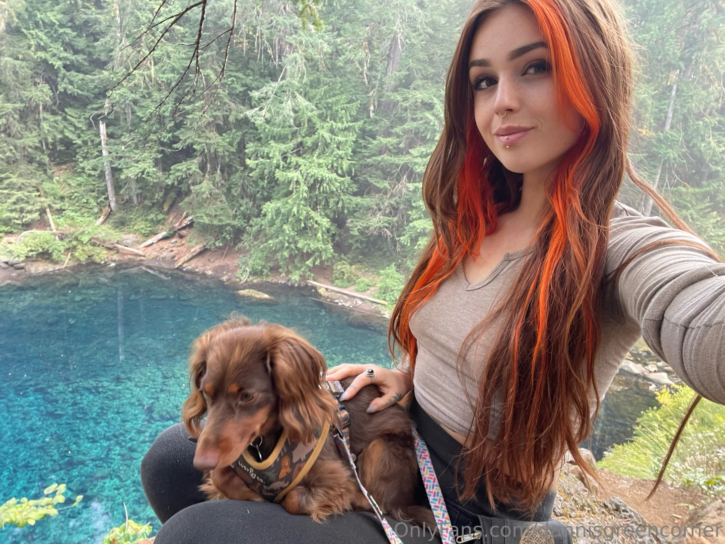 The makenzie river trail leading to the blue pool was such a beautiful 