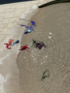 Check your dm for the vid