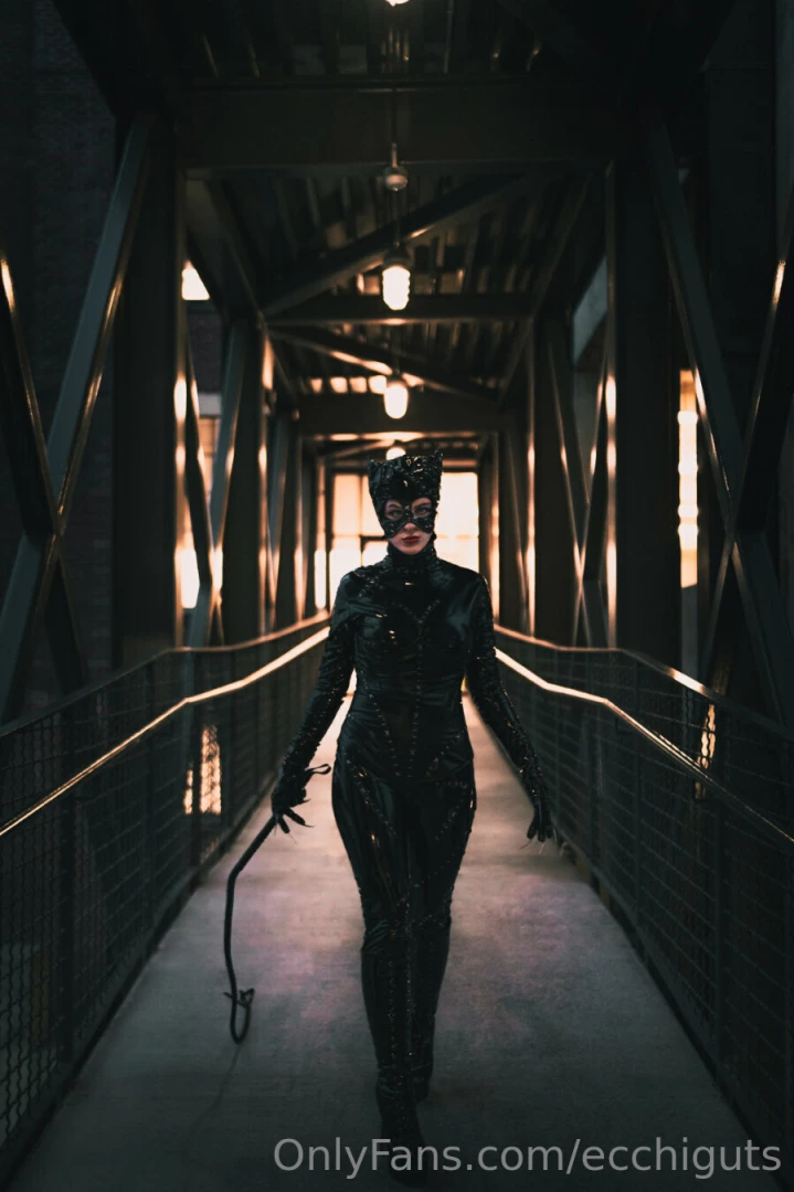 More catwoman please support i appreciate it may be a little more 