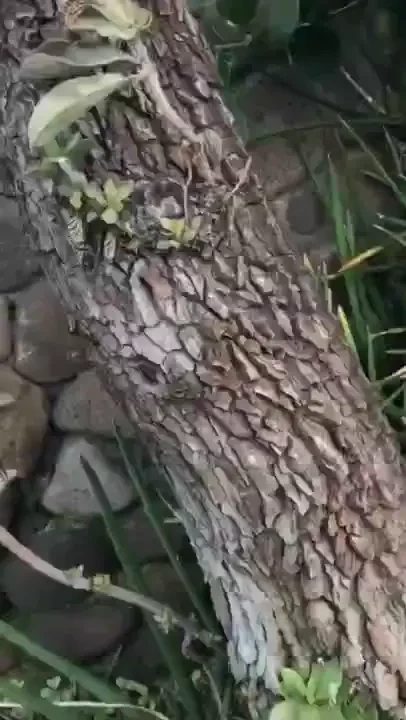 In case your not on my ither socia media ig johnnysins twitter 