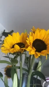 Spring finished set and bts part 6