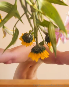 Spring finished set and bts part 7