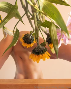 Spring finished set and bts part 13