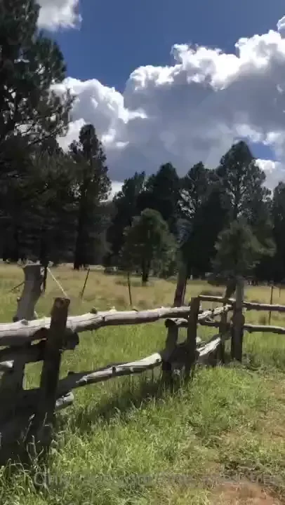 Bts chapel attempt 2 and some raw photos definitely need to go back part 10 