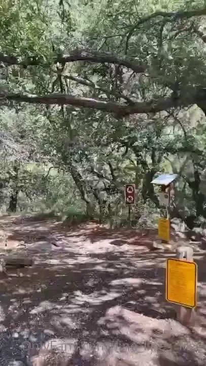 Lexi climbed into a tree to get some of these shots ph forbidden_rosee part 1 