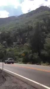 Lexi climbed into a tree to get some of these shots ph forbidden_rosee part 3