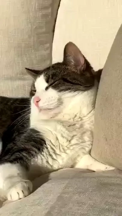 Swipe for pussy pics and vids part 1 