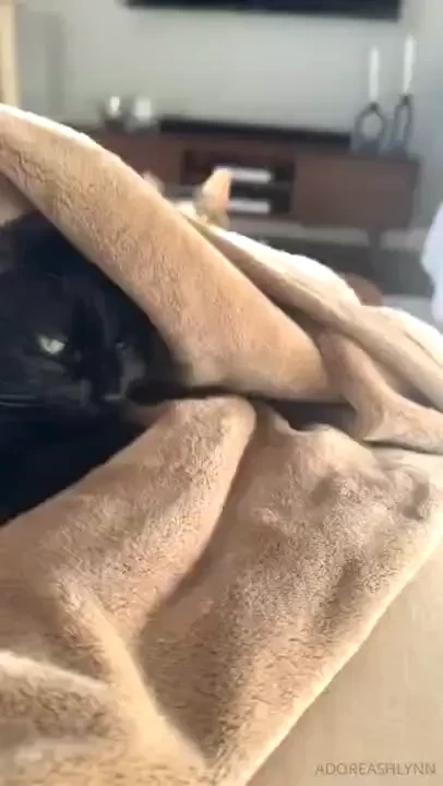 Swipe for pussy pics and vids part 4 