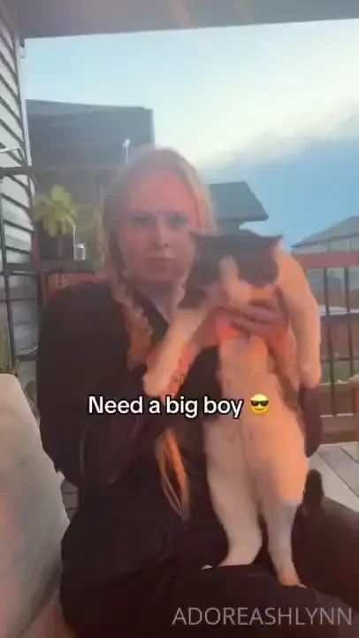 Good morning to cat lovers only 