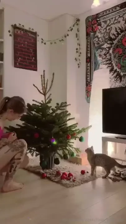 A video about the process of decorating a christmas tree hope it will 