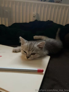 My sweet kitten cashmere part 1