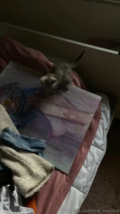 My sweet kitten cashmere