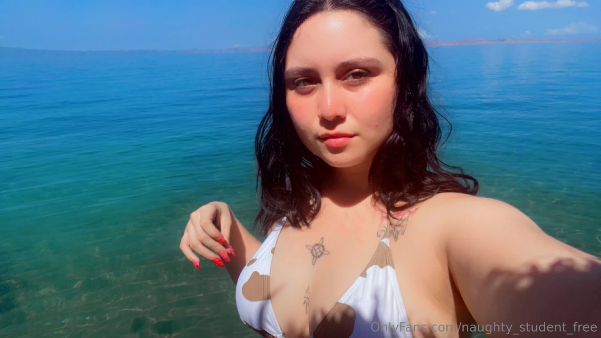 I could be a mermaid waiting for a traveler like you 