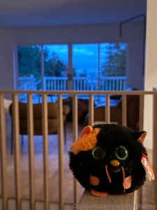 Good night all you pokemon fans