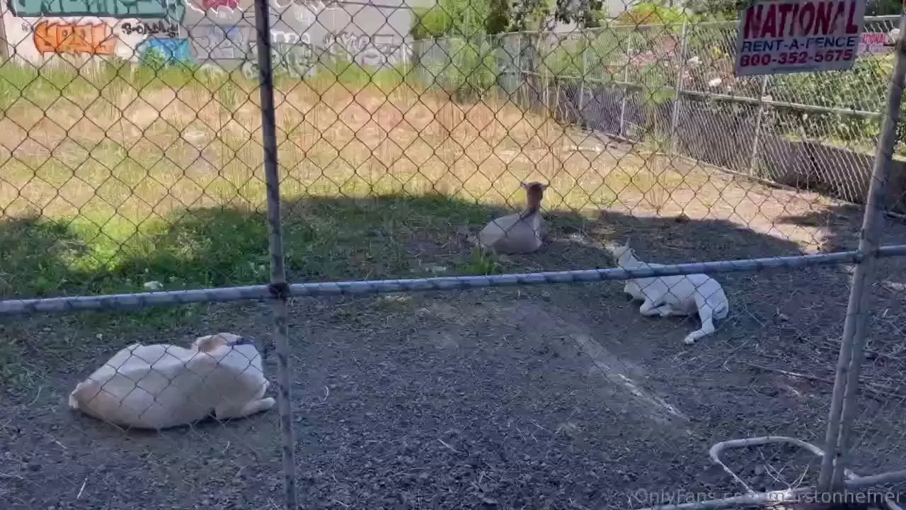 Marstonhefner1 part 18 