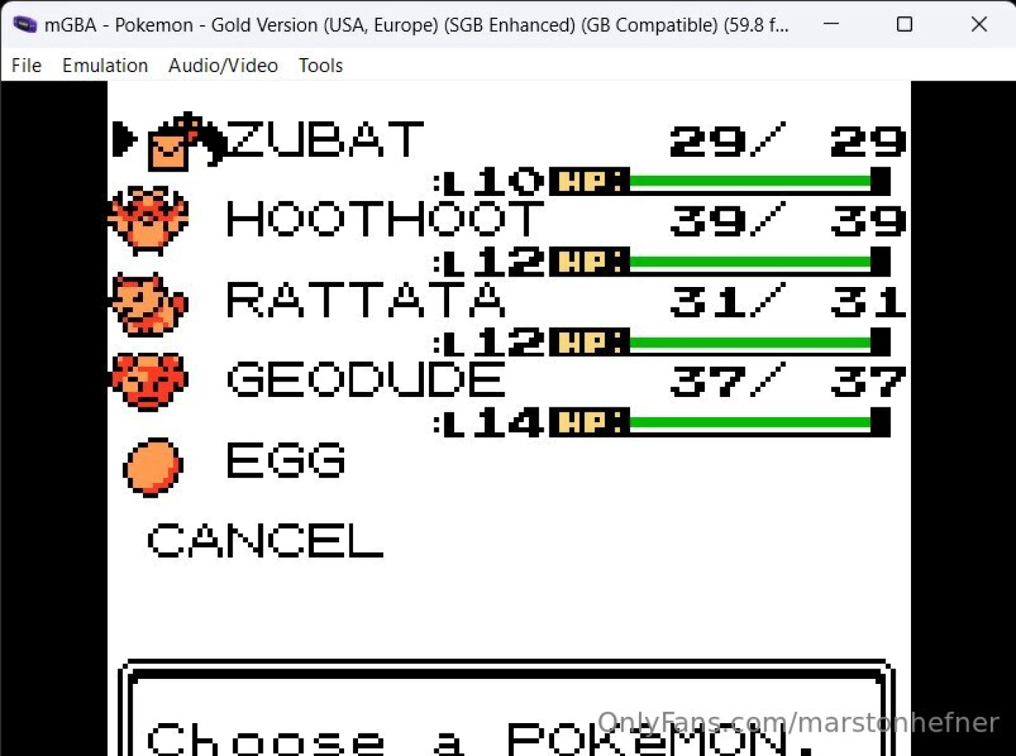 My current pokemon gold line up 