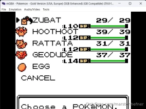 My current pokemon gold line up