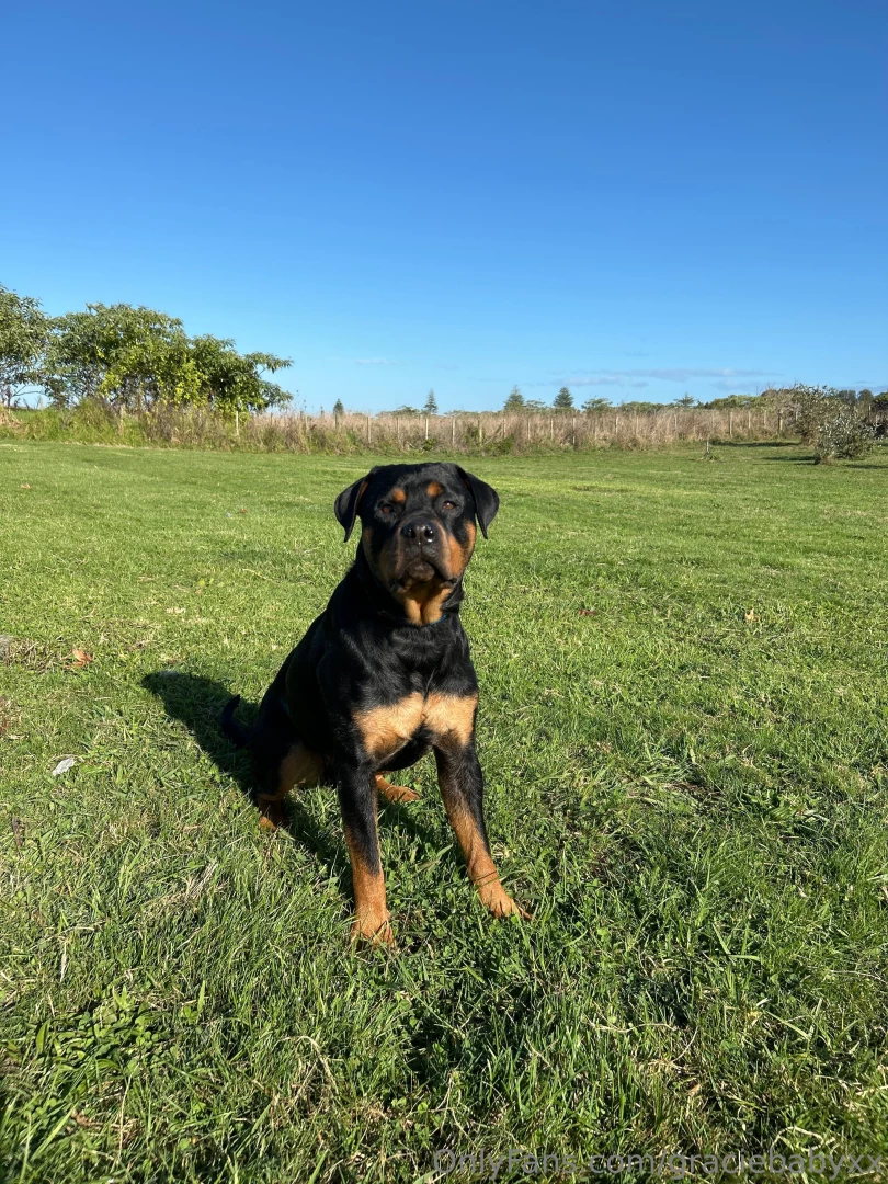 Late morning starts extra walkies with my girl 