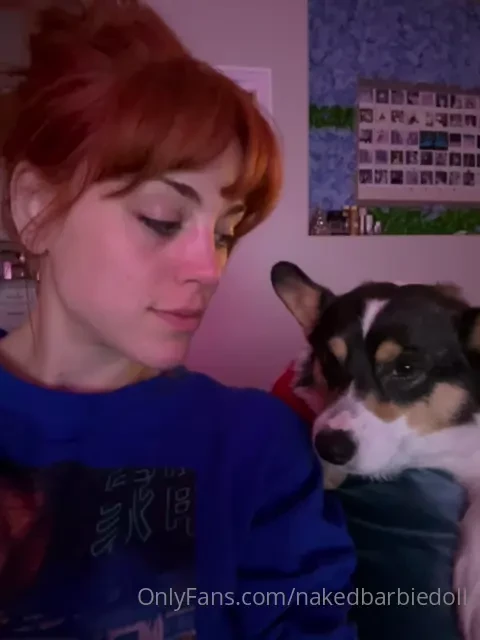 National corgi day appreciation post for my little fuzzy family 